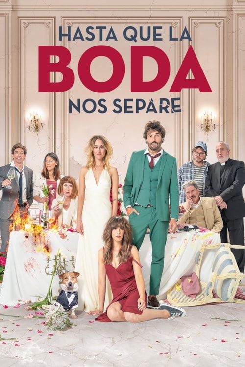 Hasta que la boda nos separe poster