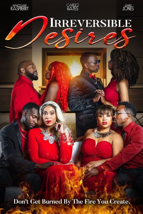 Irreversible Desires poster