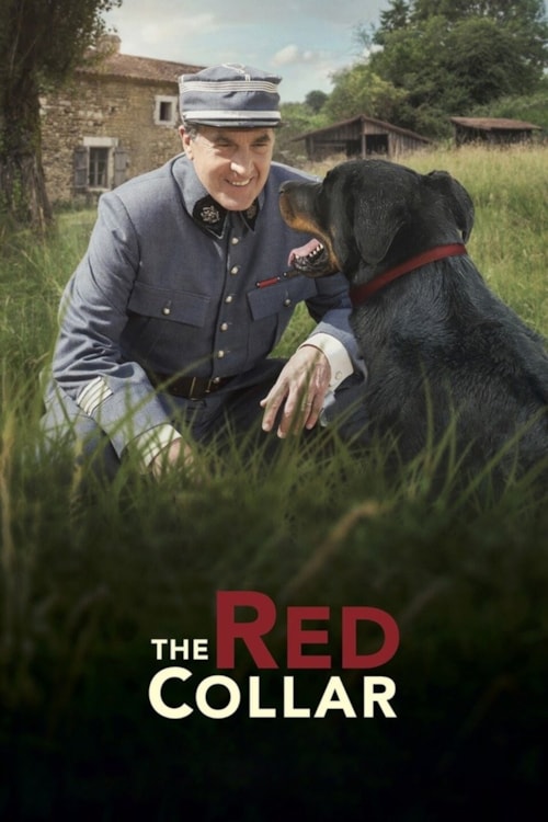 The Red Collar poster