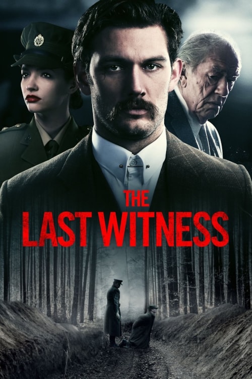 The Last Witness poster