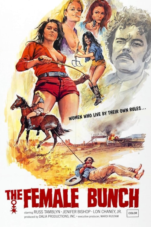The Female Bunch poster
