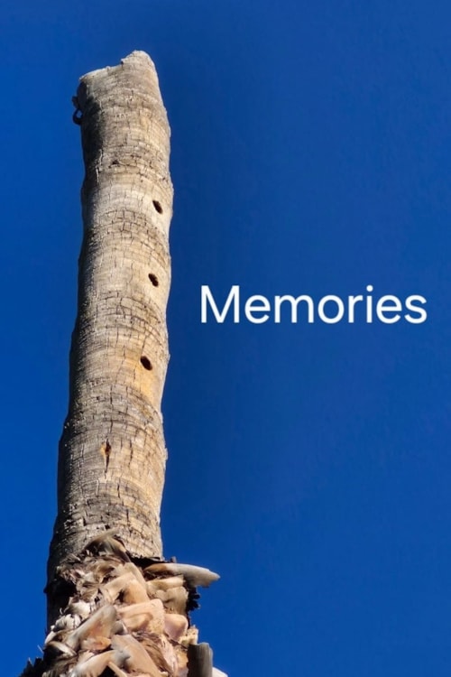 Memories