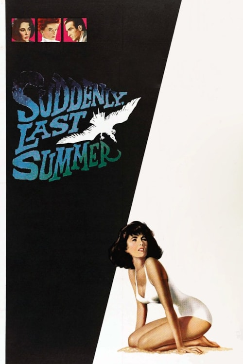 Suddenly, Last Summer poster