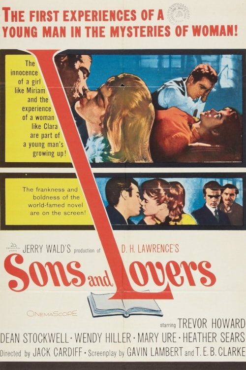 Sons and Lovers poster