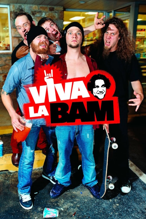Viva La Bam poster