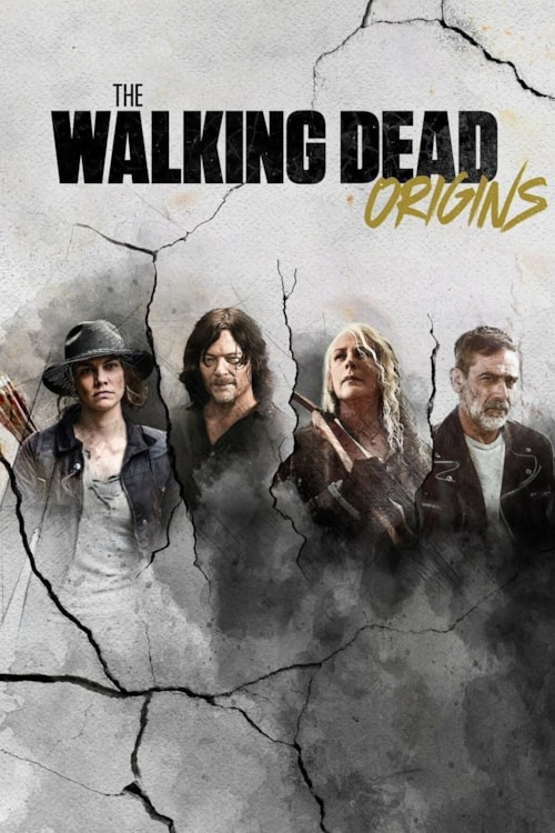 The Walking Dead: Origins poster