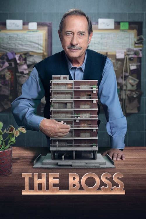 Il Boss del condominio poster