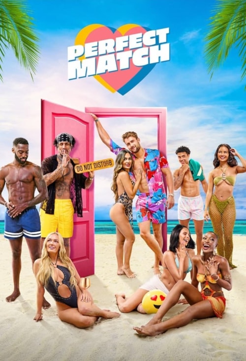 Perfect Match poster