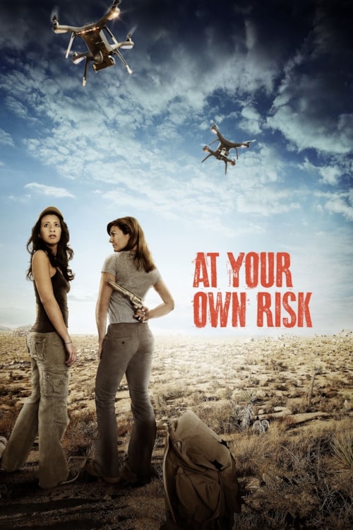 At Your Own Risk poster
