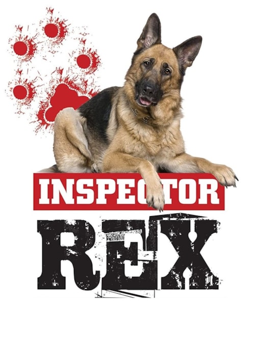 Rex, un policía diferente poster