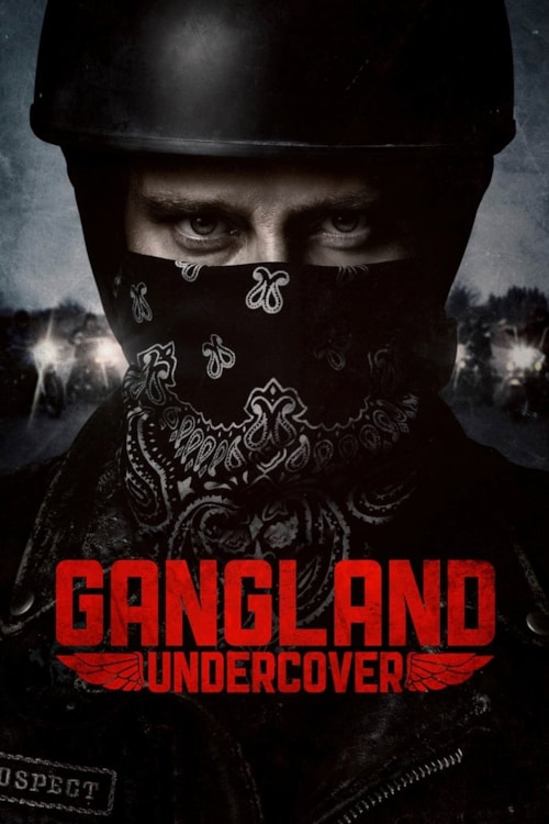 Gangland Undercover poster
