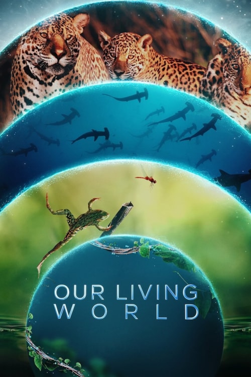 Unsere lebende Welt poster