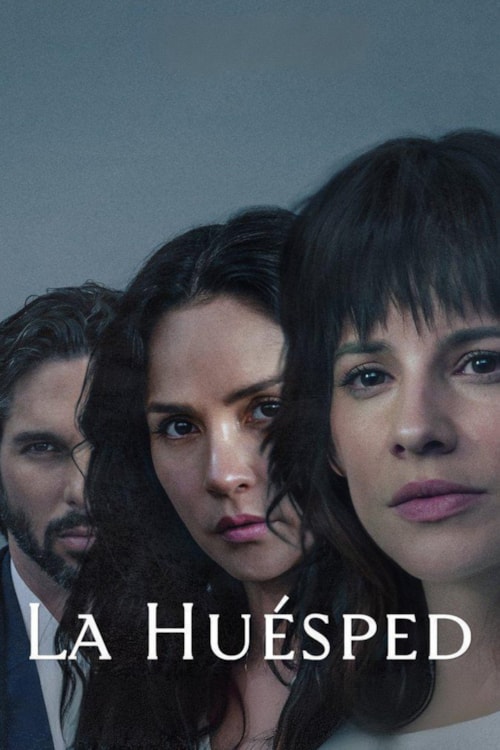 The Guest poster