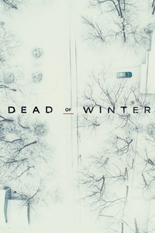 Dead of Winter poster