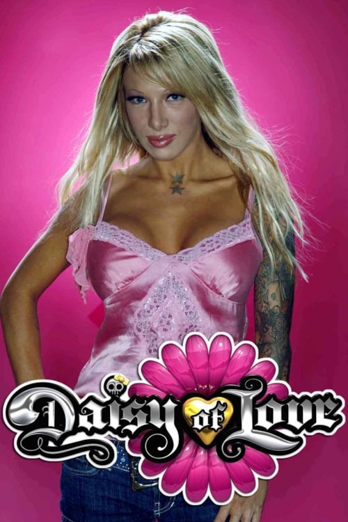 Daisy of Love poster