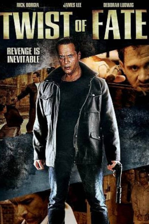 Twists of Fate poster