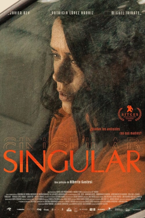 Singular poster