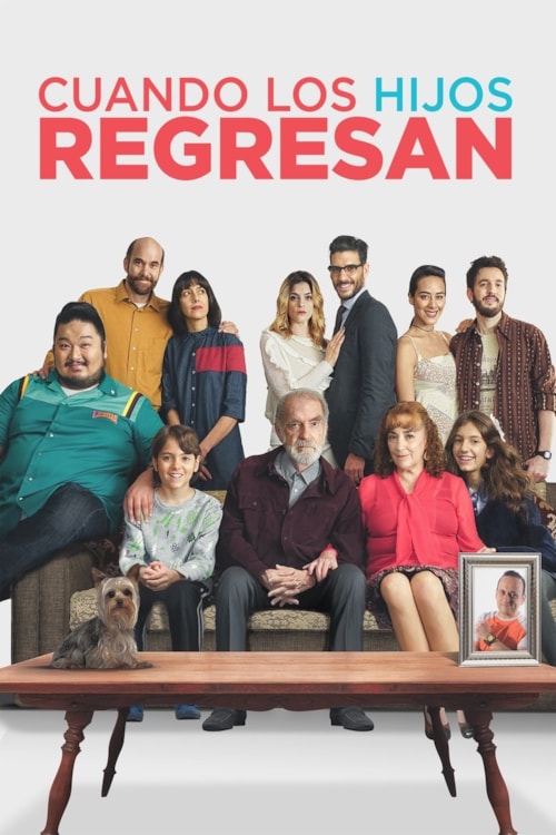 Cuando los hijos regresan poster