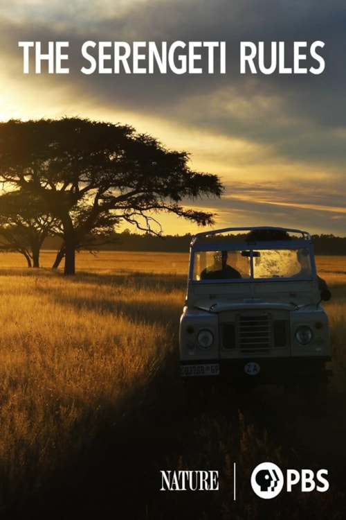 The Serengeti Rules poster