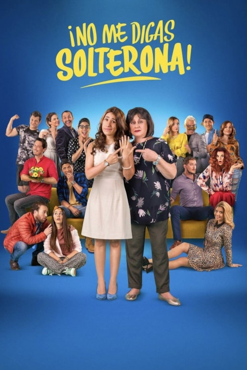 Don't Call Me Spinster poster