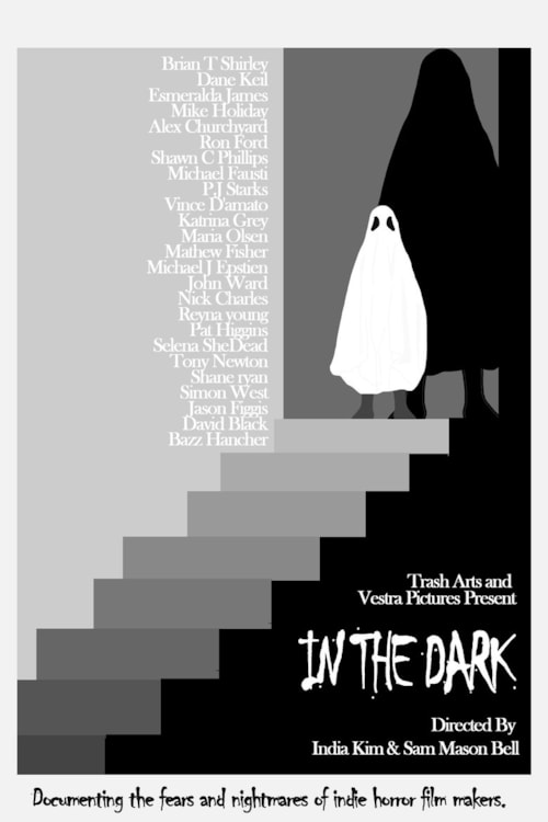 In The Dark poster