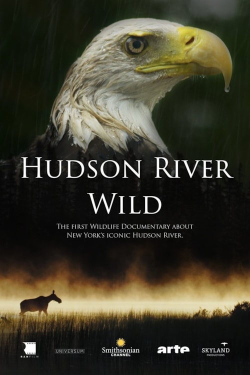 Hudson River Wild poster
