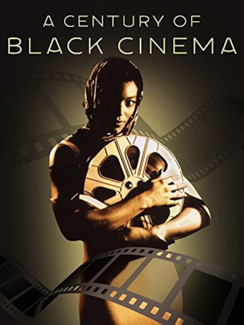 A Century Of Black Cinema poster