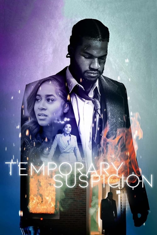 Temporary Suspicion poster