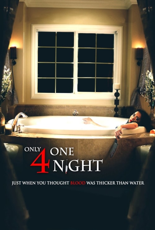 Only For One Night poster