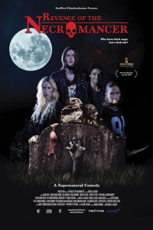Revenge of the Necromancer poster