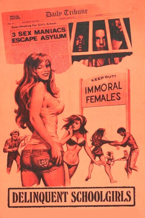 Delinquent Schoolgirls poster