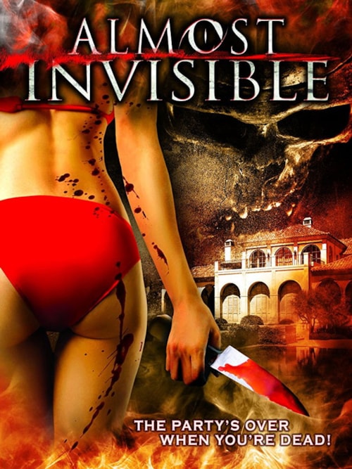 Almost Invisible poster