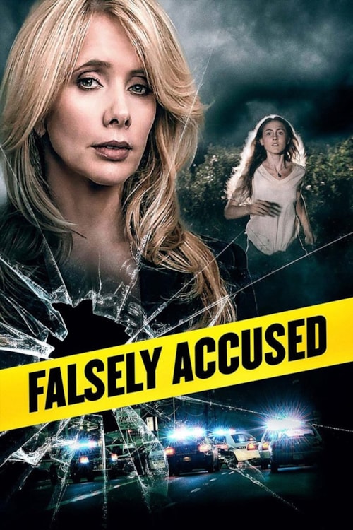 Falsely Accused poster