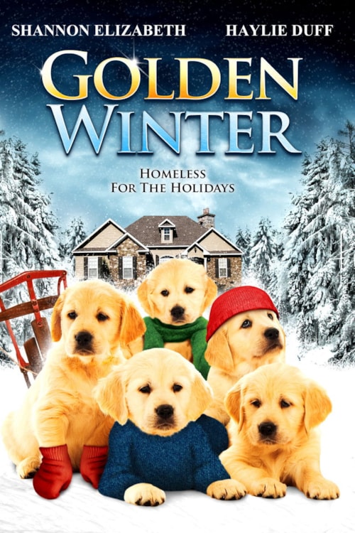 Golden Winter poster