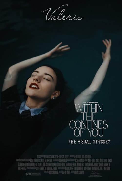 Within the Confines of You: The Visual Odyssey poster