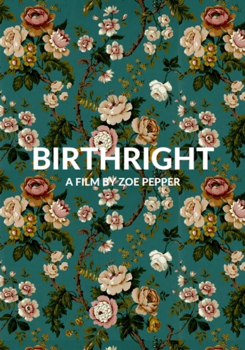 Birthright poster
