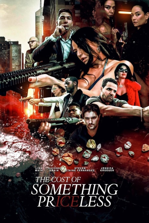 The Cost of Something Priceless poster