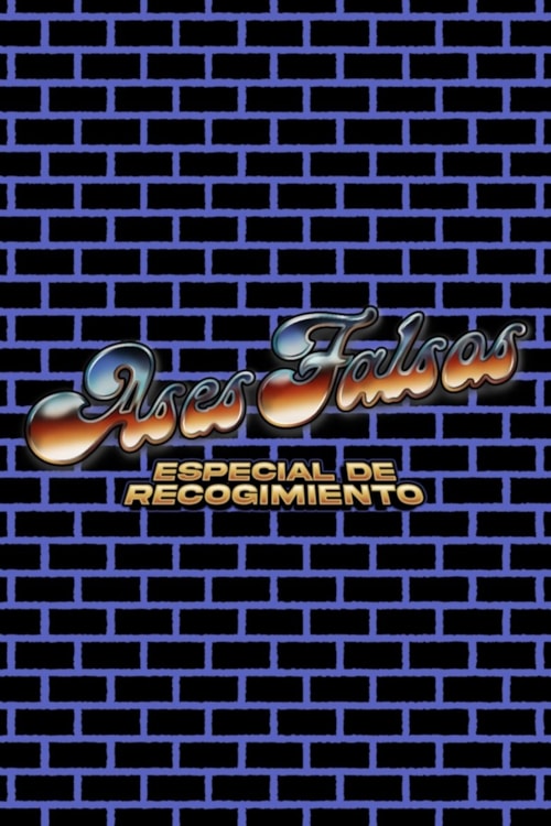 Ases Falsos: Especial de Recogimiento poster