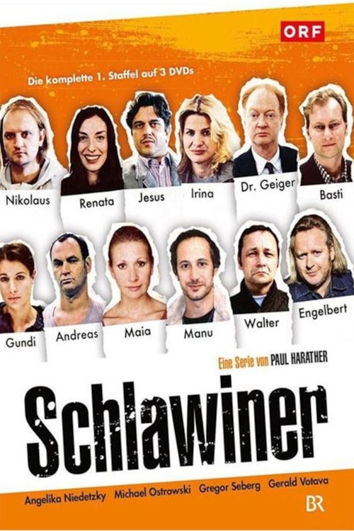 Schlawiner