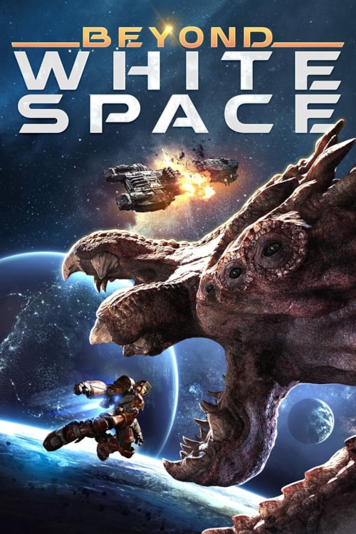 Beyond White Space poster