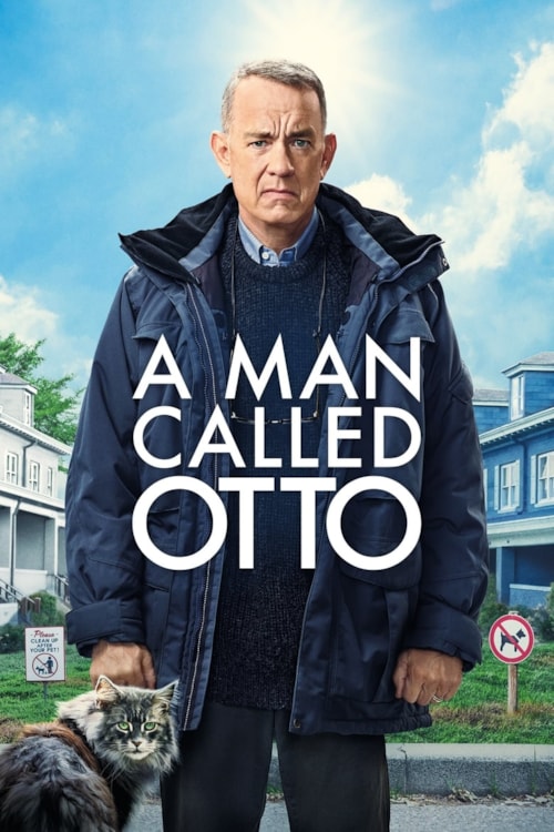 Non così vicino poster