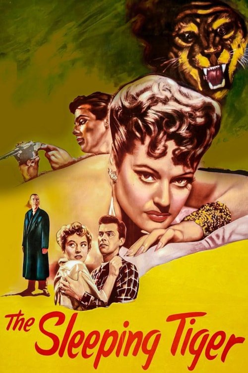 The Sleeping Tiger poster