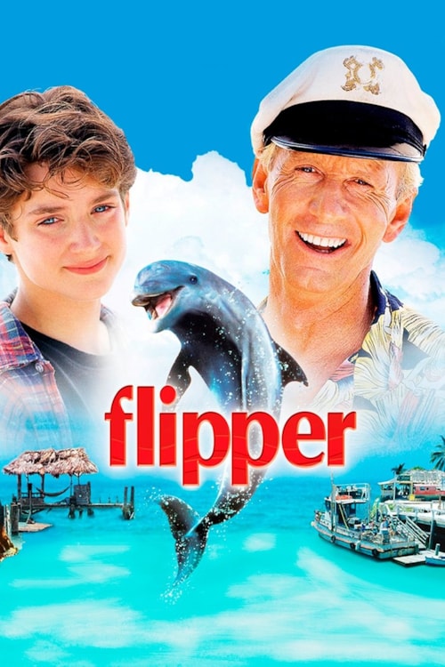 Flipper poster