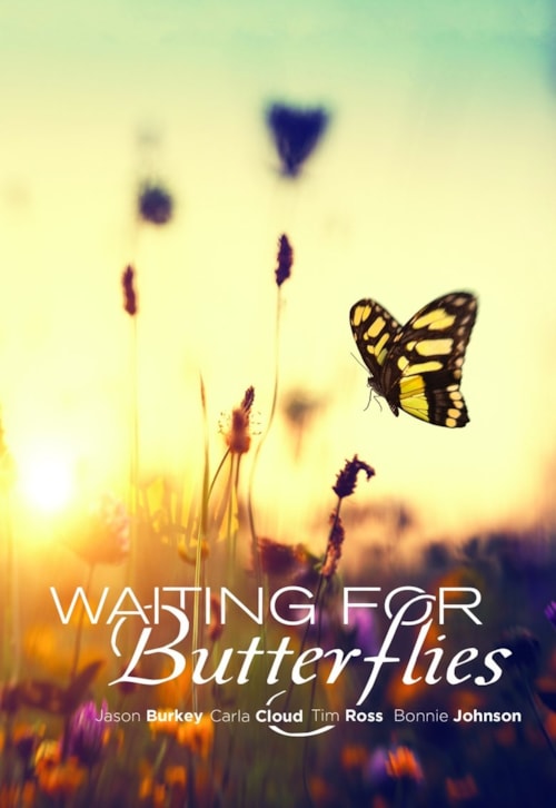 Waiting for Butterflies poster