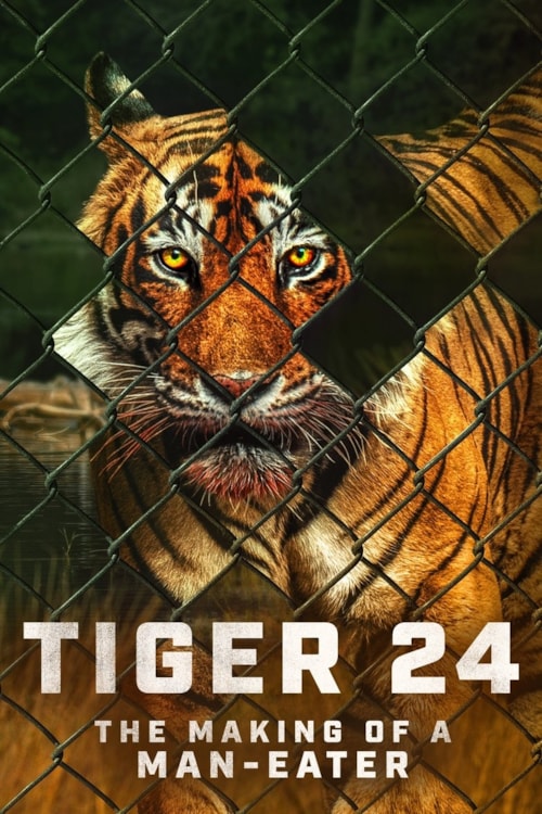 Tiger 24 poster