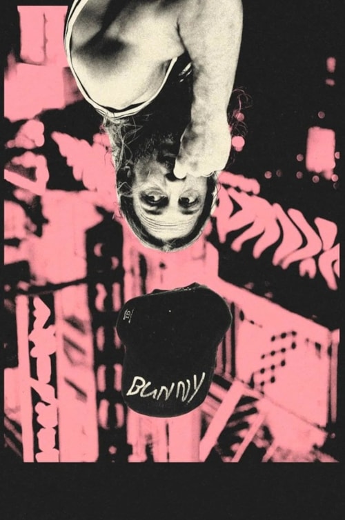 Bunny poster