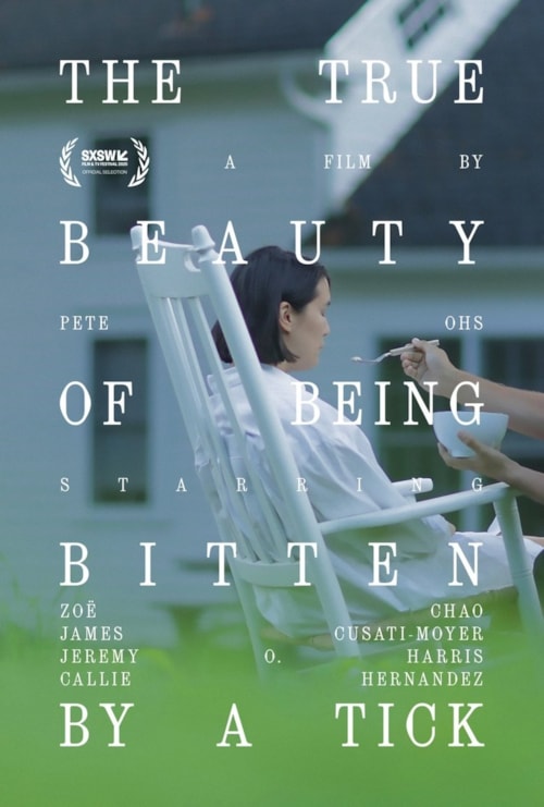 The True Beauty of Being Bitten by a Tick poster