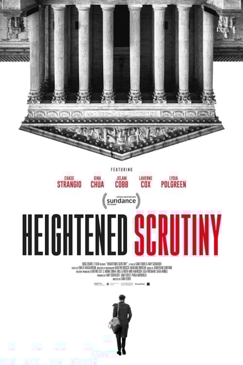 Heightened Scrutiny poster