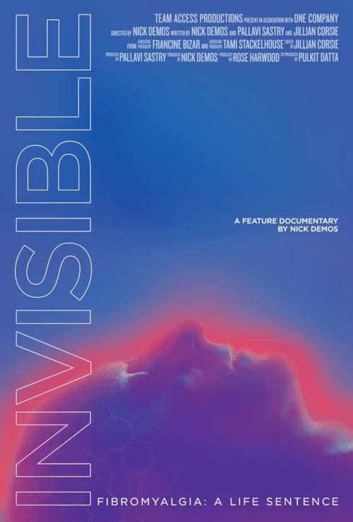 In-Visible poster