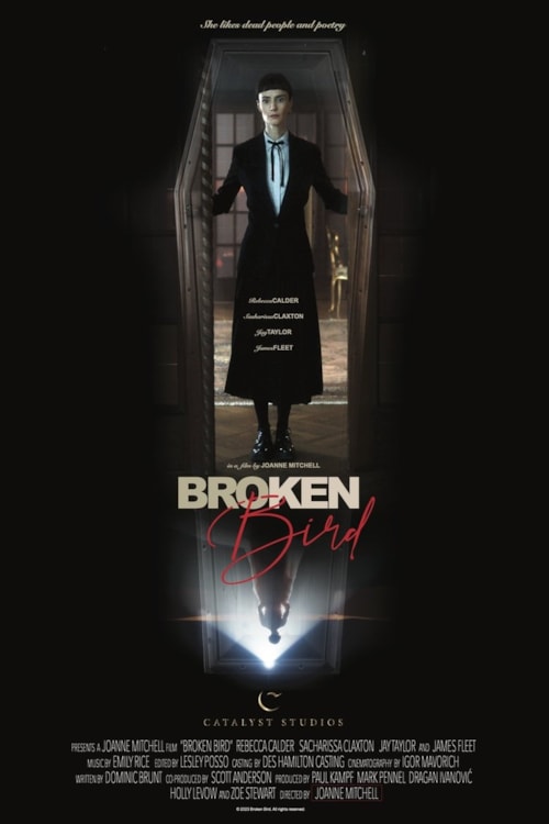 Broken Bird poster